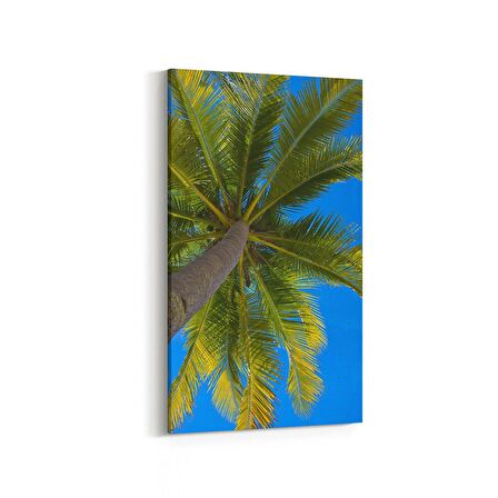 Olla 11490DD Palmiye Ağacı Görseli Dikey Dar Kanvas Tablo (Ölçü: 40X80)
