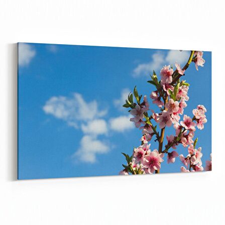 Olla 10964Y Ağaç Görseli Yatay Kanvas Tablo (Ölçü: 45X30)