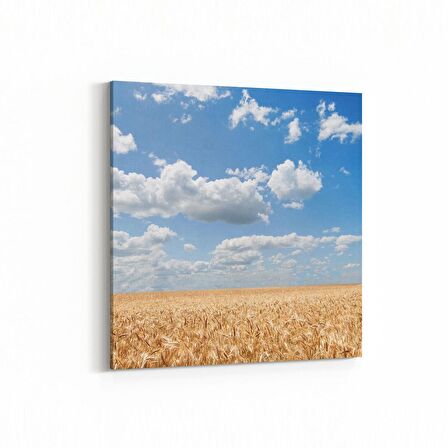 Olla 14539K Doğa / Manzara Görseli Kare Kanvas Tablo (Ölçü: 60X60)