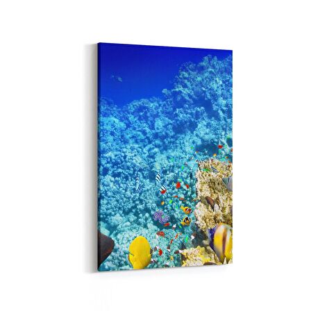 Olla 12124D Akvaryum / Balık Görseli Dikey Kanvas Tablo (Ölçü: 60X90)
