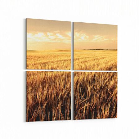 Olla 14008K4 Doğa / Manzara Görseli Kare 4'lü Kanvas Tablo (Ölçü: 125X125)