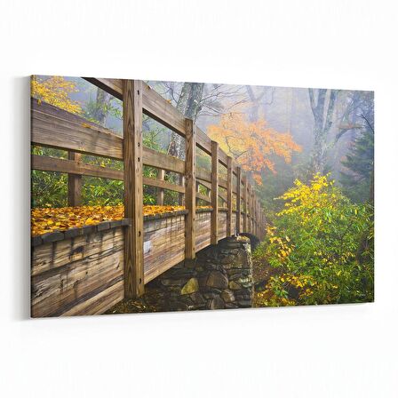 Olla 14580Y Doğa / Manzara Görseli Yatay Kanvas Tablo (Ölçü: 90X60)