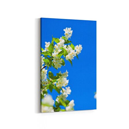 Olla 10920D Ağaç Görseli Dikey Kanvas Tablo (Ölçü: 40X60)