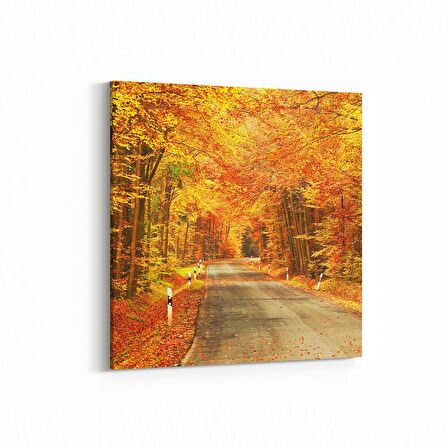 Olla 13597K Doğa / Manzara Görseli Kare Kanvas Tablo (Ölçü: 30X30)