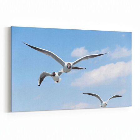Olla 15835Y Gökyüzü Kuşlar Görseli Yatay Kanvas Tablo (Ölçü: 45X30)