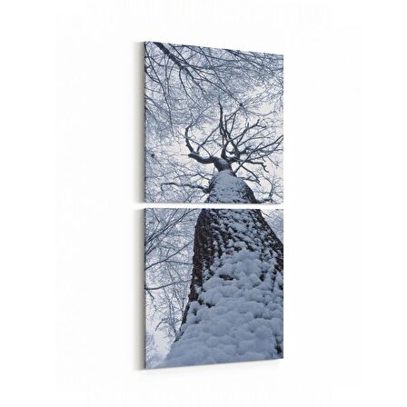 Olla 11050K2D Ağaç Görseli Kare 2'li Dikey Kanvas Tablo (Ölçü: 30X65)