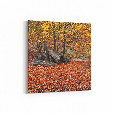 Olla 13279K Doğa / Manzara Görseli Kare Kanvas Tablo (Ölçü: 25X25)