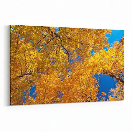 Olla 10566Y Ağaç Görseli Yatay Kanvas Tablo (Ölçü: 45X30)