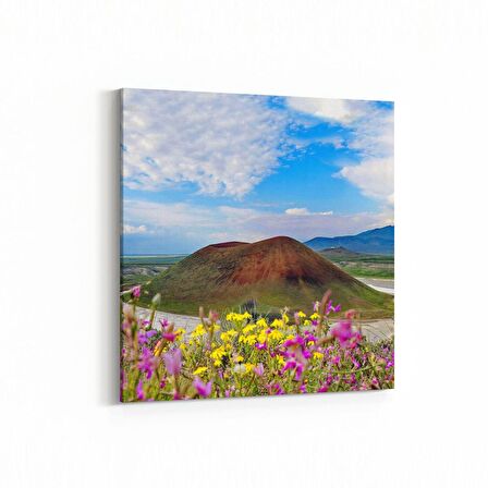 Olla 14353K Doğa / Manzara Görseli Kare Kanvas Tablo (Ölçü: 60X60)