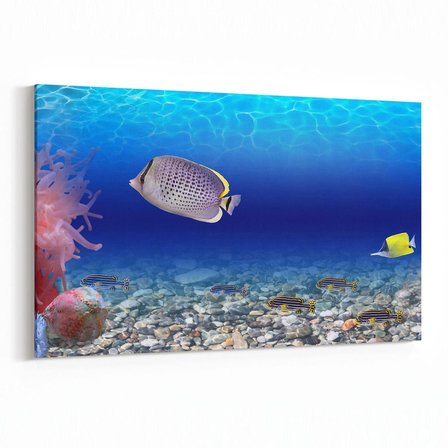 Olla 12106Y Akvaryum / Balık Görseli Yatay Kanvas Tablo (Ölçü: 30X20)
