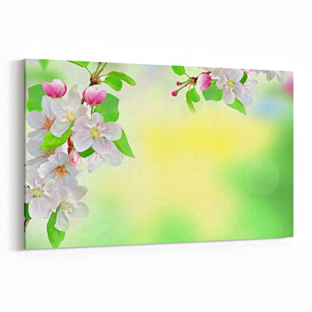 Olla 11717Y Orkide Çiçek Görseli Yatay Kanvas Tablo (Ölçü: 90X60)