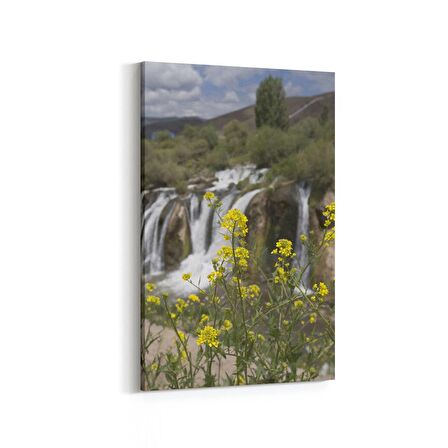 Olla 14365D Doğa / Manzara Görseli Dikey Kanvas Tablo (Ölçü: 100X150)