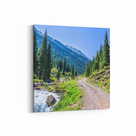 Olla 14186K Doğa / Manzara Görseli Kare Kanvas Tablo (Ölçü: 25X25)