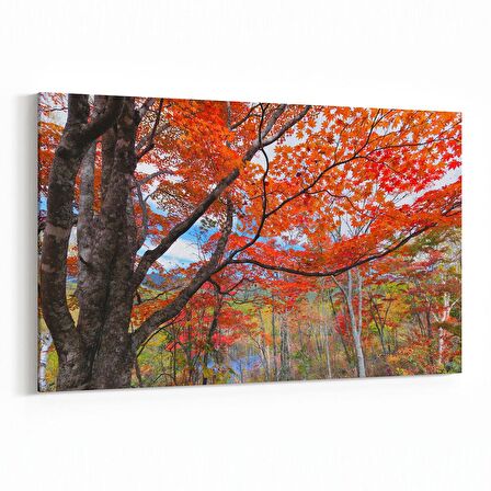 Olla 13256Y Doğa / Manzara Görseli Yatay Kanvas Tablo (Ölçü: 90X60)