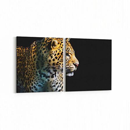 Olla 12602K2Y Hayvanlar Alemi Görseli Kare 2'li Yatay Kanvas Tablo (Ölçü: 85X40)