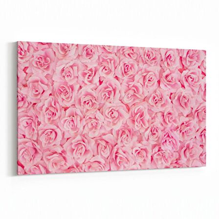 Olla 11628Y Çiçek Görseli Yatay Kanvas Tablo (Ölçü: 30X20)