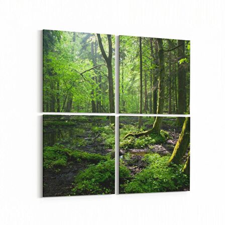 Olla 14517K4 Doğa / Manzara Görseli Kare 4'lü Kanvas Tablo (Ölçü: 145X145)