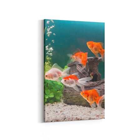 Olla 12138D Akvaryum / Balık Görseli Dikey Kanvas Tablo (Ölçü: 20X30)