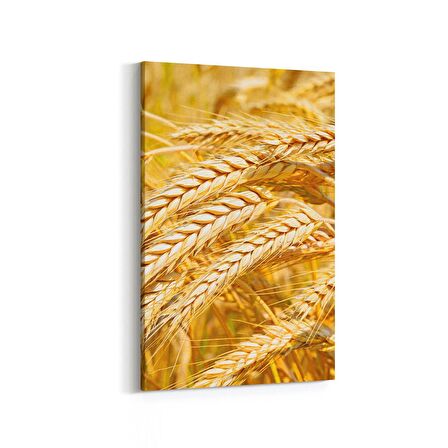 Olla 15127D Gıda Görseli Dikey Kanvas Tablo (Ölçü: 60X90)