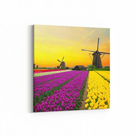 Olla 14060K Doğa / Manzara Görseli Kare Kanvas Tablo (Ölçü: 30X30)