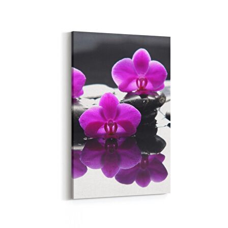 Olla 17104D Spa / Masaj Görseli Dikey Kanvas Tablo (Ölçü: 60X90)