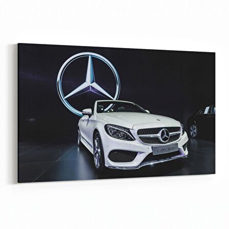 Olla 12340Y Araç Görseli Yatay Kanvas Tablo (Ölçü: 30X20)