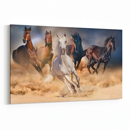 Olla 12574Y Hayvanlar Alemi Görseli Yatay Kanvas Tablo (Ölçü: 70X50)