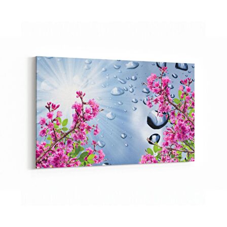 Olla 17233Y Su / Damla Görseli Yatay Kanvas Tablo (Ölçü: 150X100)