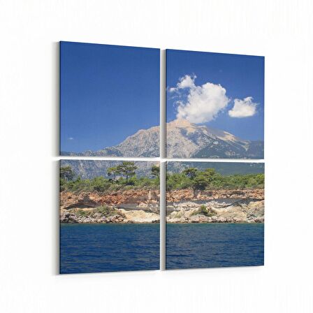 Olla 14013K4 Doğa / Manzara Görseli Kare 4'lü Kanvas Tablo (Ölçü: 145X145)