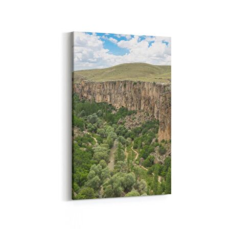 Olla 14063D Doğa / Manzara Görseli Dikey Kanvas Tablo (Ölçü: 40X60)