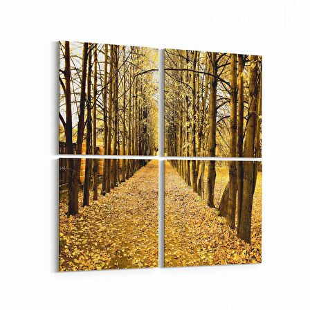 Olla 14021K4 Doğa / Manzara Görseli Kare 4'lü Kanvas Tablo (Ölçü: 65X65)
