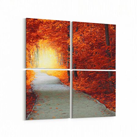 Olla 14102K4 Doğa / Manzara Görseli Kare 4'lü Kanvas Tablo (Ölçü: 125X125)