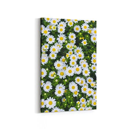 Olla 11568D Çiçek Görseli Dikey Kanvas Tablo (Ölçü: 80X120)