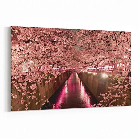 Olla 14000Y Doğa / Manzara Görseli Yatay Kanvas Tablo (Ölçü: 150X100)