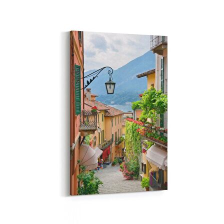 Olla 18075D Yapı Görseli Dikey Kanvas Tablo (Ölçü: 40X60)