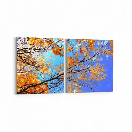 Olla 10855K2Y Ağaç Görseli Kare 2'li Yatay Kanvas Tablo (Ölçü: 105X50)
