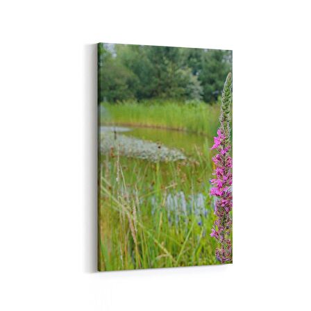 Olla 13829D Doğa / Manzara Görseli Dikey Kanvas Tablo (Ölçü: 60X90)