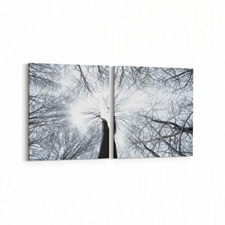 Olla 11046K2Y Ağaç Görseli Kare 2'li Yatay Kanvas Tablo (Ölçü: 105X50)
