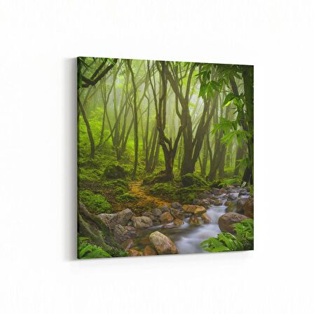 Olla 14431K Doğa / Manzara Görseli Kare Kanvas Tablo (Ölçü: 30X30)