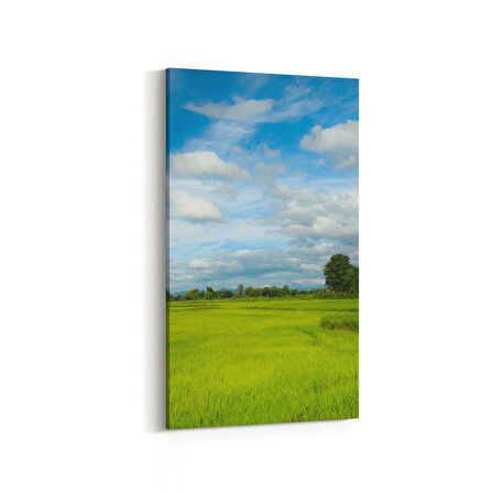 Olla 13529DD Doğa / Manzara Görseli Dikey Dar Kanvas Tablo (Ölçü: 40X80)