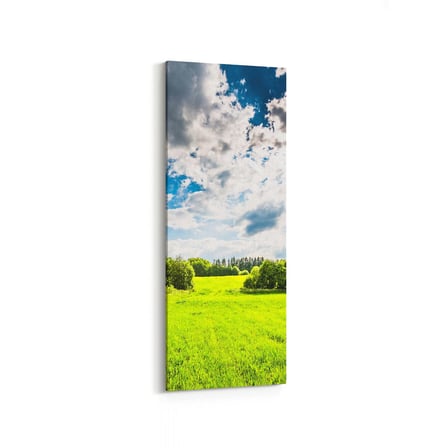 Olla 13863DI Doğa / Manzara Görseli Dikey İnce Kanvas Tablo (Ölçü: 30X90)