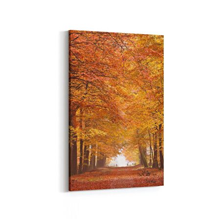 Olla 14561D Doğa / Manzara Görseli Dikey Kanvas Tablo (Ölçü: 100X150)
