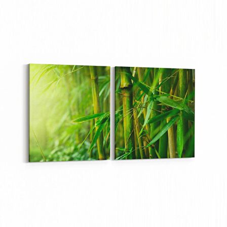 Olla 14617K2Y Doğa / Manzara Görseli Kare 2'li Yatay Kanvas Tablo (Ölçü: 85X40)