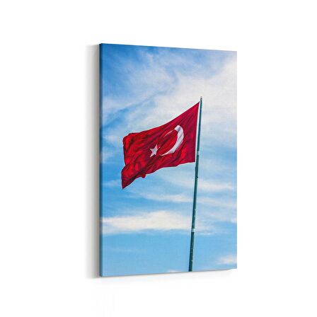 Olla 17548D Türk Bayrağı Görseli Dikey Kanvas Tablo (Ölçü: 100X150)