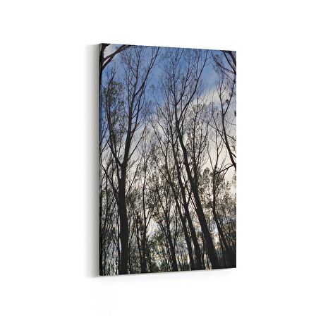 Olla 10466D Ağaç Görseli Dikey Kanvas Tablo (Ölçü: 100X150)