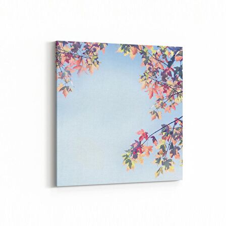 Olla 10785K Ağaç Görseli Kare Kanvas Tablo (Ölçü: 30X30)