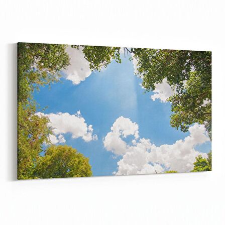 Olla 10766Y Ağaç Görseli Yatay Kanvas Tablo (Ölçü: 45X30)