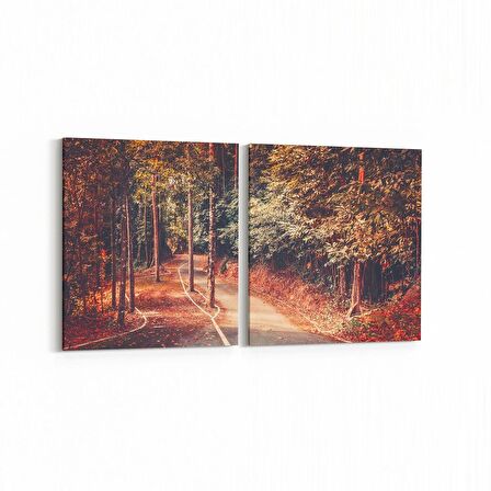 Olla 14454K2Y Doğa / Manzara Görseli Kare 2'li Yatay Kanvas Tablo (Ölçü: 85X40)