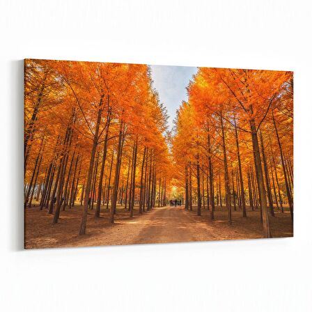 Olla 14487Y Doğa / Manzara Görseli Yatay Kanvas Tablo (Ölçü: 45X30)