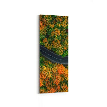 Olla 14467DI Doğa / Manzara Görseli Dikey İnce Kanvas Tablo (Ölçü: 40X120)